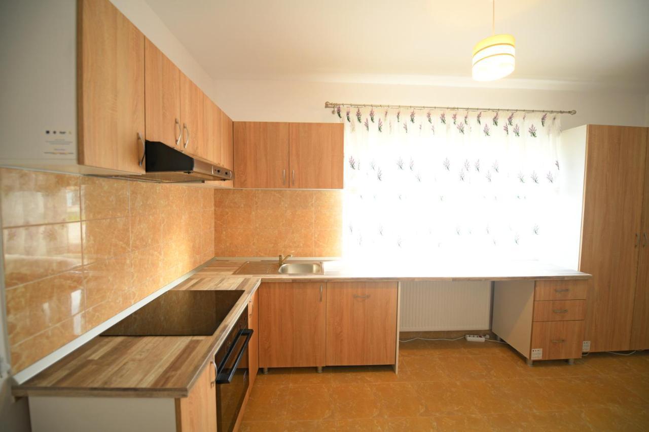 Pensiunea HERA Hațeg Exterior foto