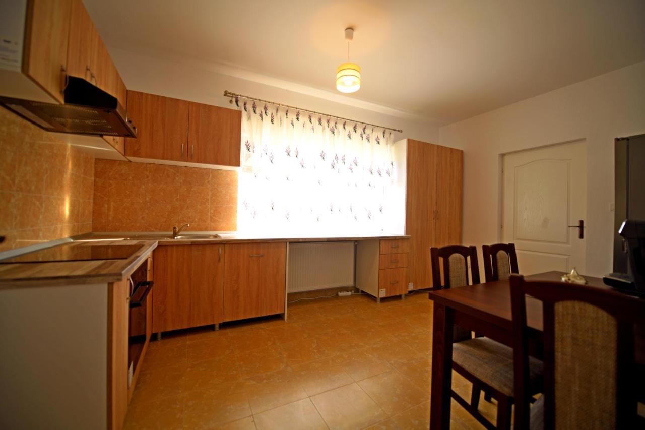 Pensiunea HERA Hațeg Exterior foto